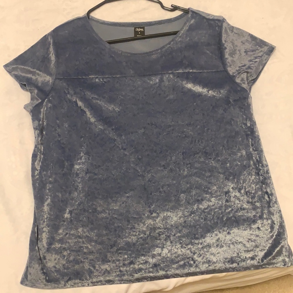 Velvet Blouse